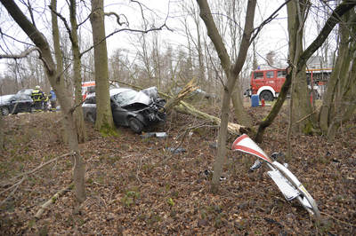Baltmannsweiler: ERSTHEFLFERIN IM BILD - Pkw schanzt von der Strasse und faellt grossen Baum - Fahrerin schwer verletzt